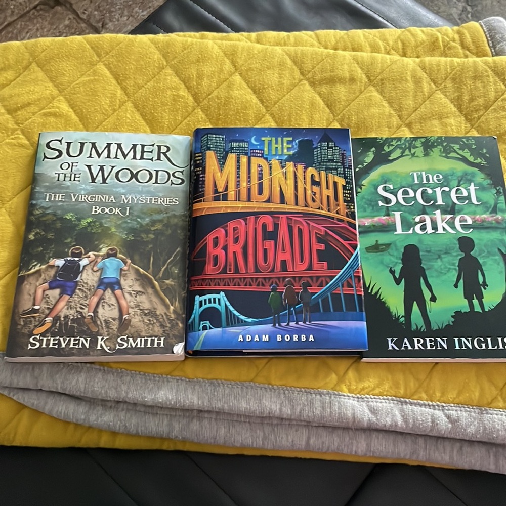 3 mystery books-The midnight Brigade, The secret Lake and Summer of the Woods